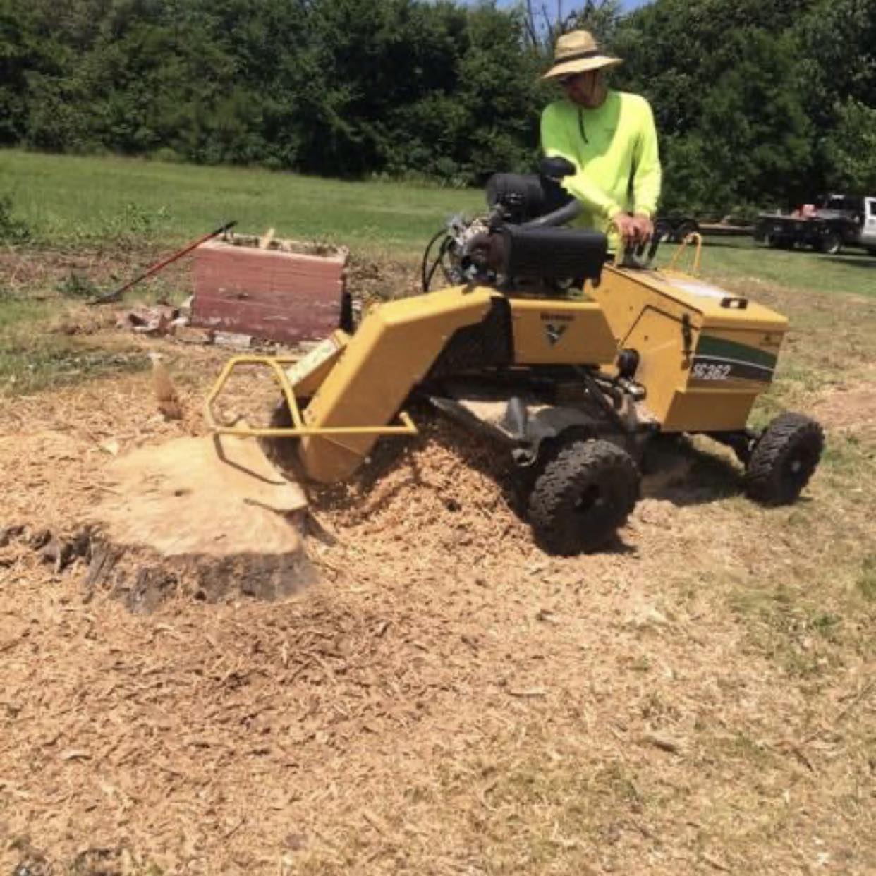 Top Choice Tree Service Logo