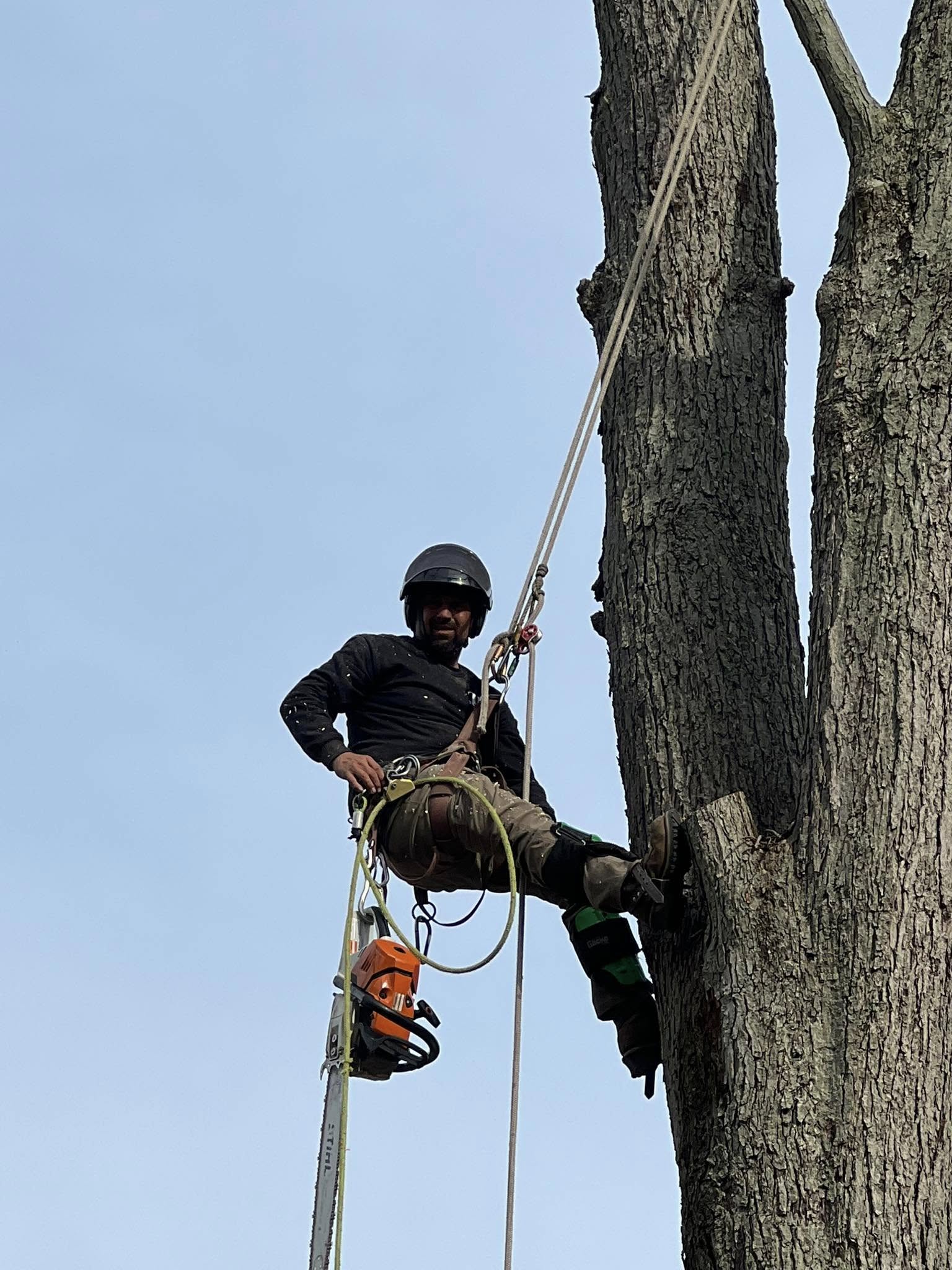 Lucca Landscaping & Construction LLC offers reliable tree cutting services to help manage overgrown, hazardous, or unwanted trees on your property. We handle each job with safety and precision, making sure your landscape remains clean and secure. Our team is experienced in working with trees of all sizes and types, ensuring efficient service with professional results. We’re committed to keeping your outdoor space well-maintained and safe.