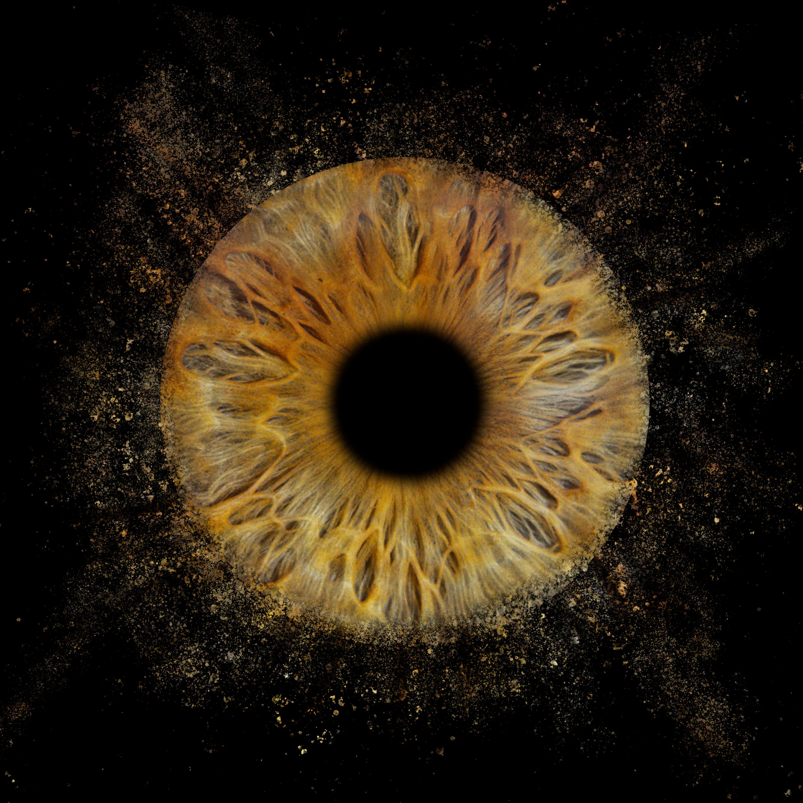 Bilder You & Eye Photo Montreux
