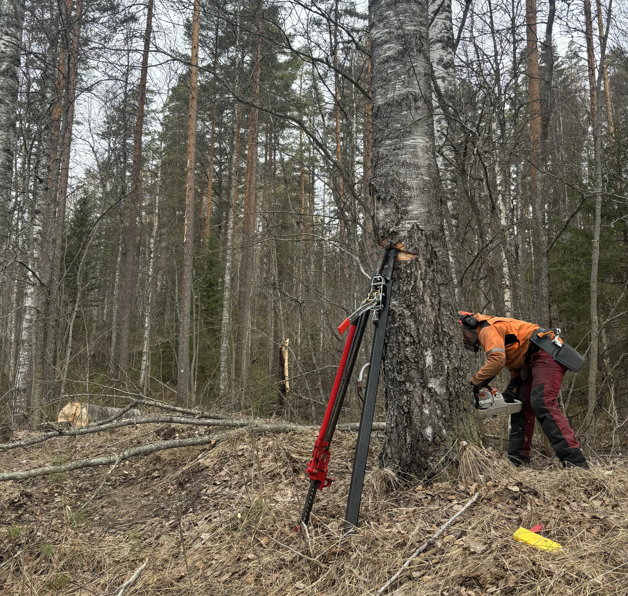 Images SisuForest Oy