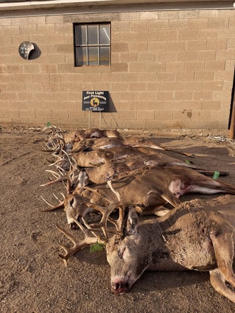 Images First Light Deer Processing