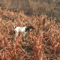 Images Beede Outdoors