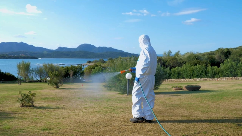 Images Disinfestazioni Ambientali Bachisio Carta