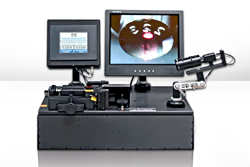 BM BoMAQ Pharmatechnik GmbH, Weserstrasse 7 in Vlotho