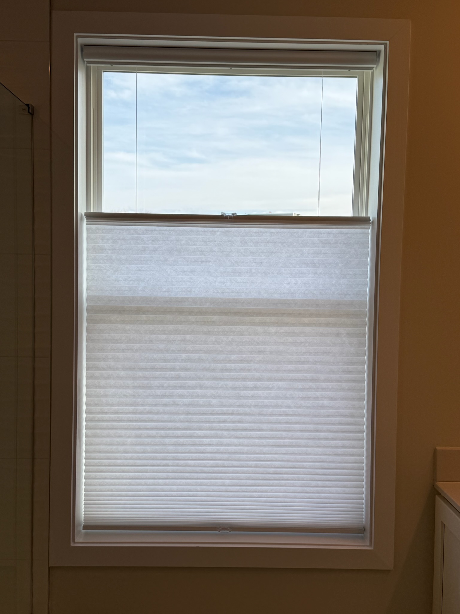 Top-down, bottom-up cellular shades offer the best of both worlds - privacy, as well as a beautiful view.