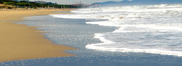 Images Immobiliare Casa e Mare