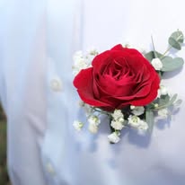 Liv Gracefully Blooms Image