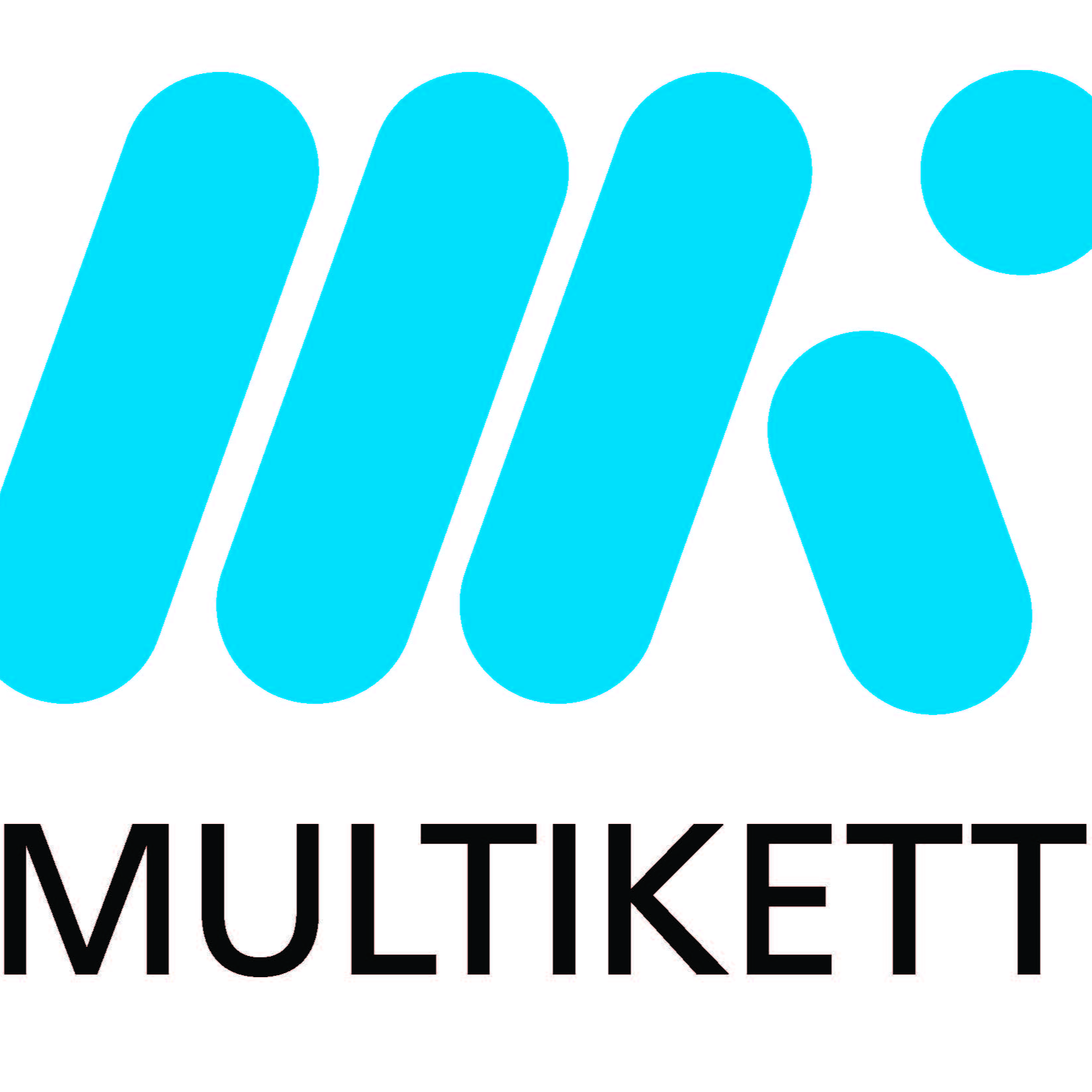 Kundenbild groß 17 Multikett GmbH & Co. KG