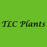 TLC Plants Logo