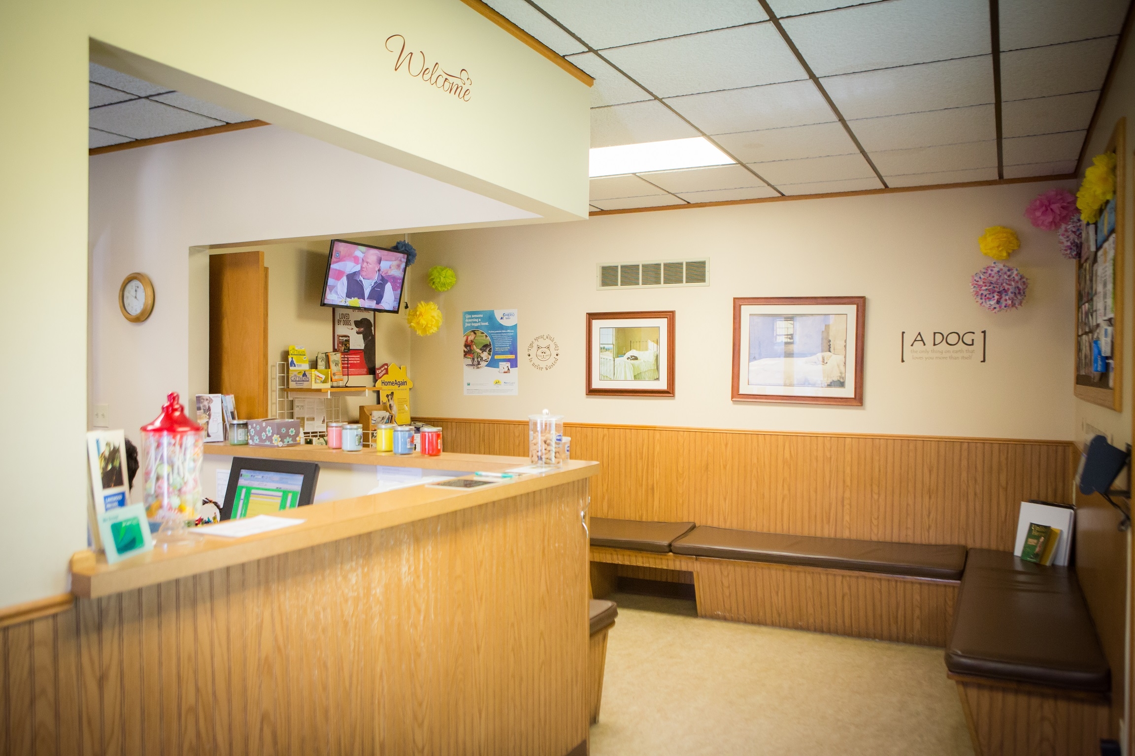 Wait for your pet's appointment comfortably in our spacious waiting room.