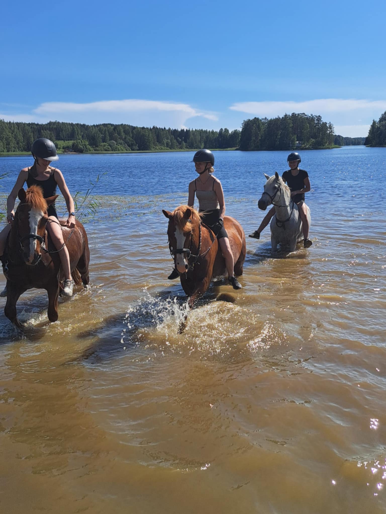 Images Relanderin Ponitalli