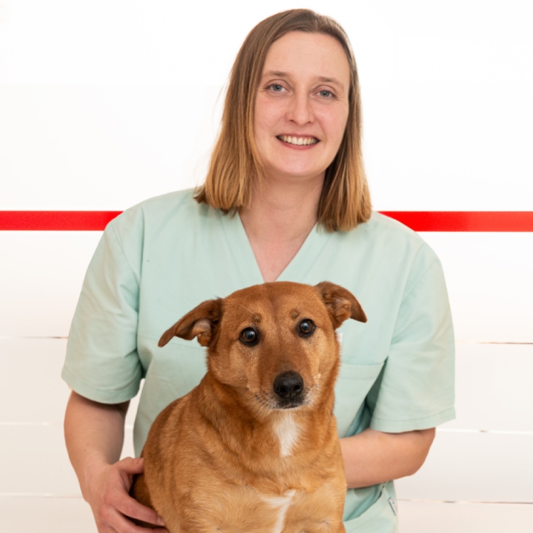 Bilder Kleintierpraxis Am Brautsee Marnie Obst