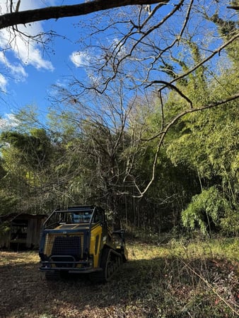 Images Weaver’s Forestry & Land Services