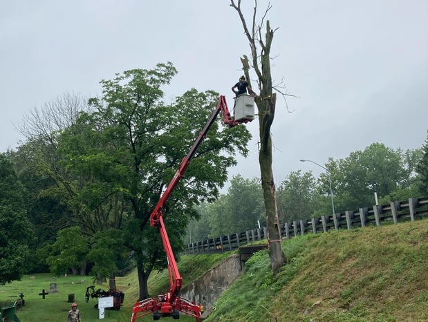 Images Friendly Tree Service Inc