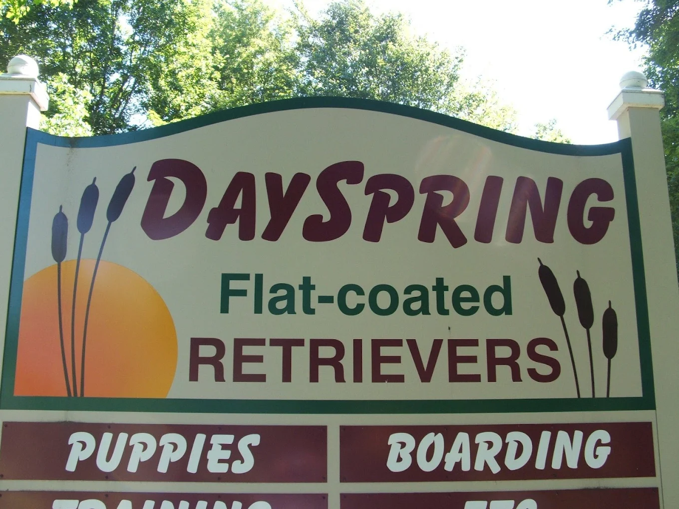 DaySpring Retrievers LLC Logo