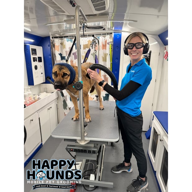 Images Happy Hounds Mobile Pet Grooming