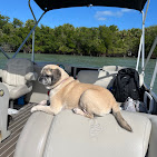 Images Treasure Coast Boat Rentals