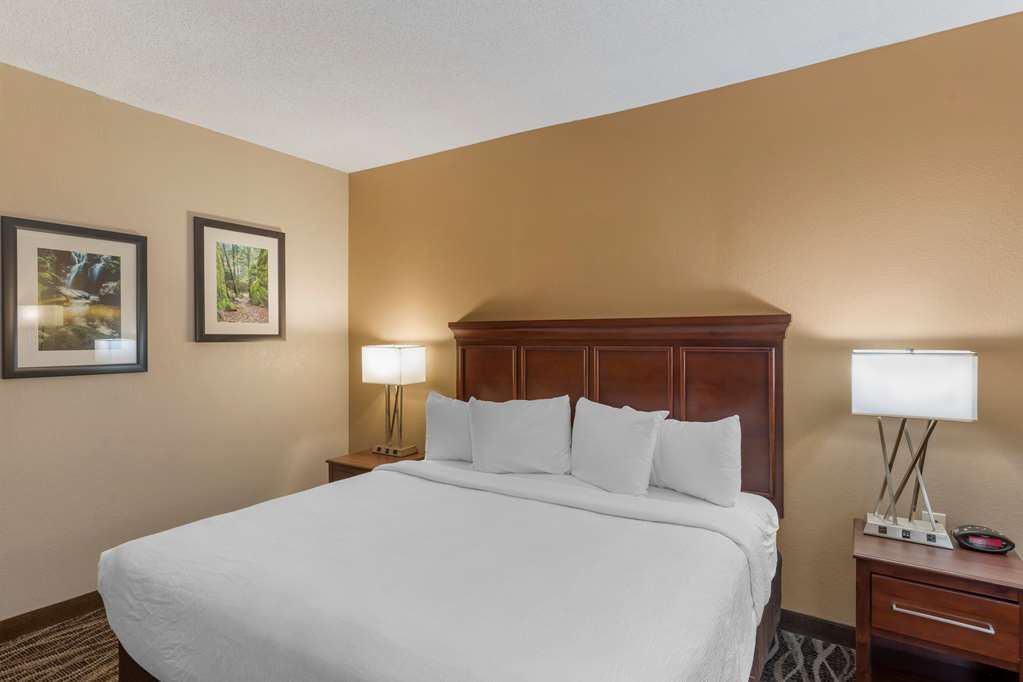 ADA King Guest Room