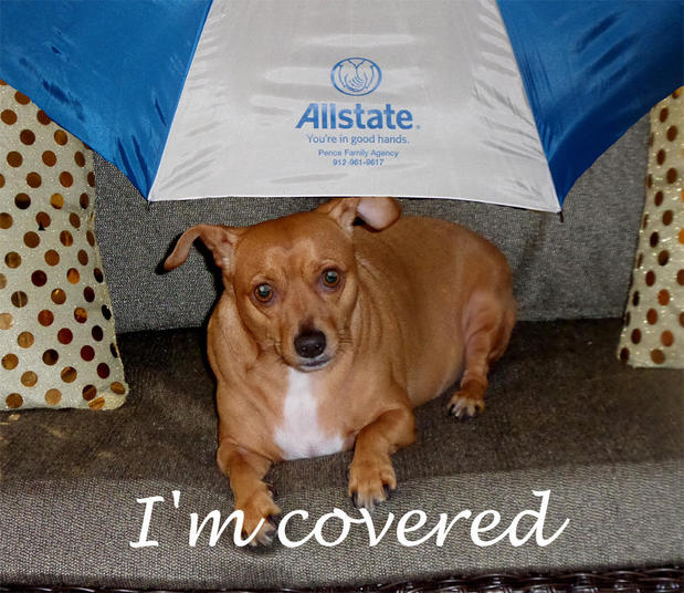 Images David Pence: Allstate Insurance