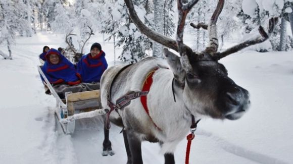 Images Saariselän Porotila / Saariselkä Reindeer Farm