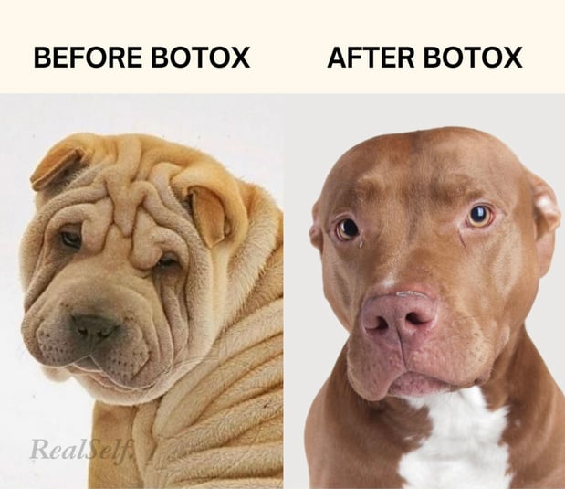 Images Dr. Michael Gray: The Michigan Cosmetic Surgery Center and Skin Deep Spa