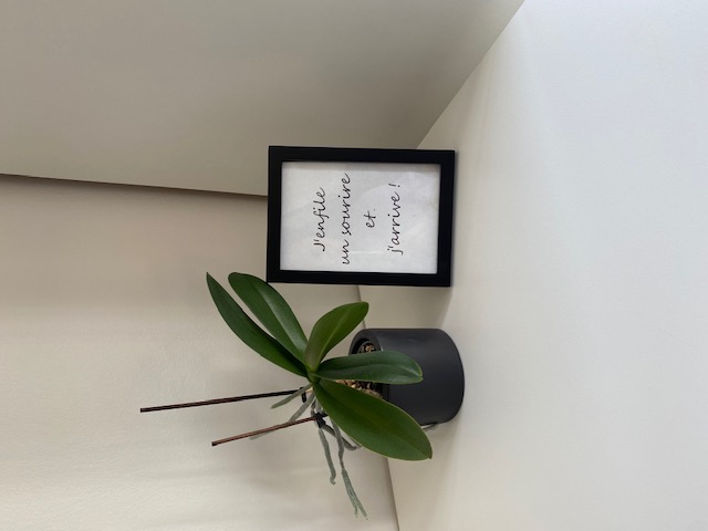 Bilder Centre du sourire - Dental Smile Solutions Sàrl