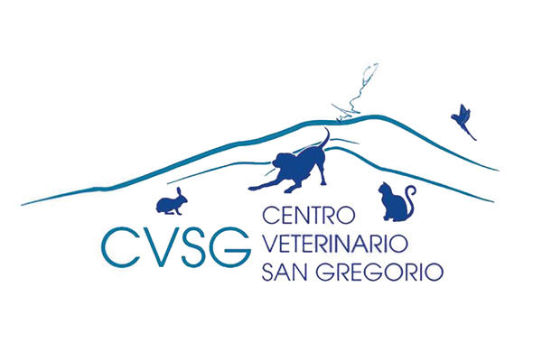 Images Centro Veterinario San Gregorio