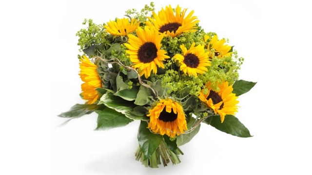 Images Eka Blommor AB - Blommor Lund