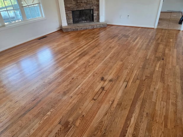 Images Peachtree Carpet Cleaners