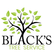Black's Tree Service LLC Logo