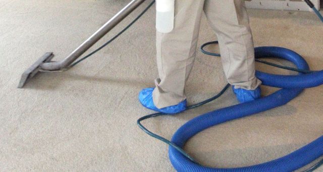 Images Absolute Carpet Care