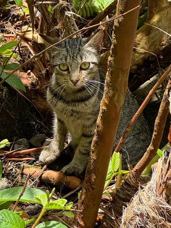 Images Brent Maudlin - State Farm Insurance Agent