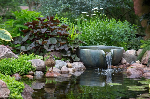 Images P Douglas Waterscapes