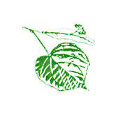 Linden-Apotheke in Gerswalde - Logo