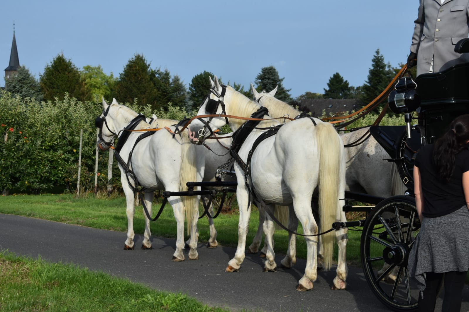 Bilder Merry Legs Ranch Kutschfahrten und Ponyreiten Bonn
