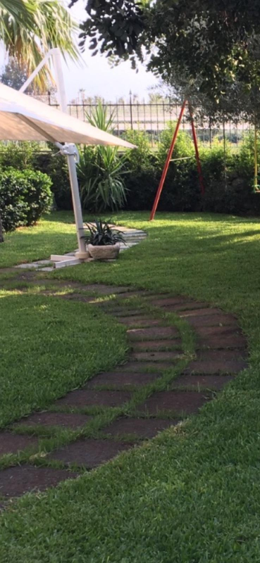 Images L'autore del verde