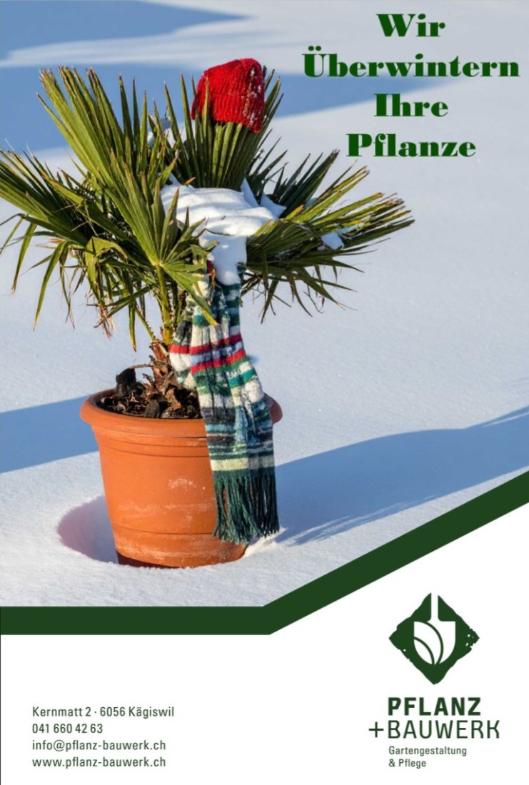 Bilder Pflanz und Bauwerk GmbH