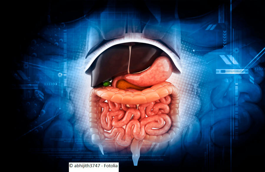 Heilpraktikerin Claudia Peschl, Gocher Straße 97 A in Kranenburg