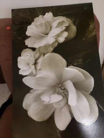 Images J and B Furniture Consignments