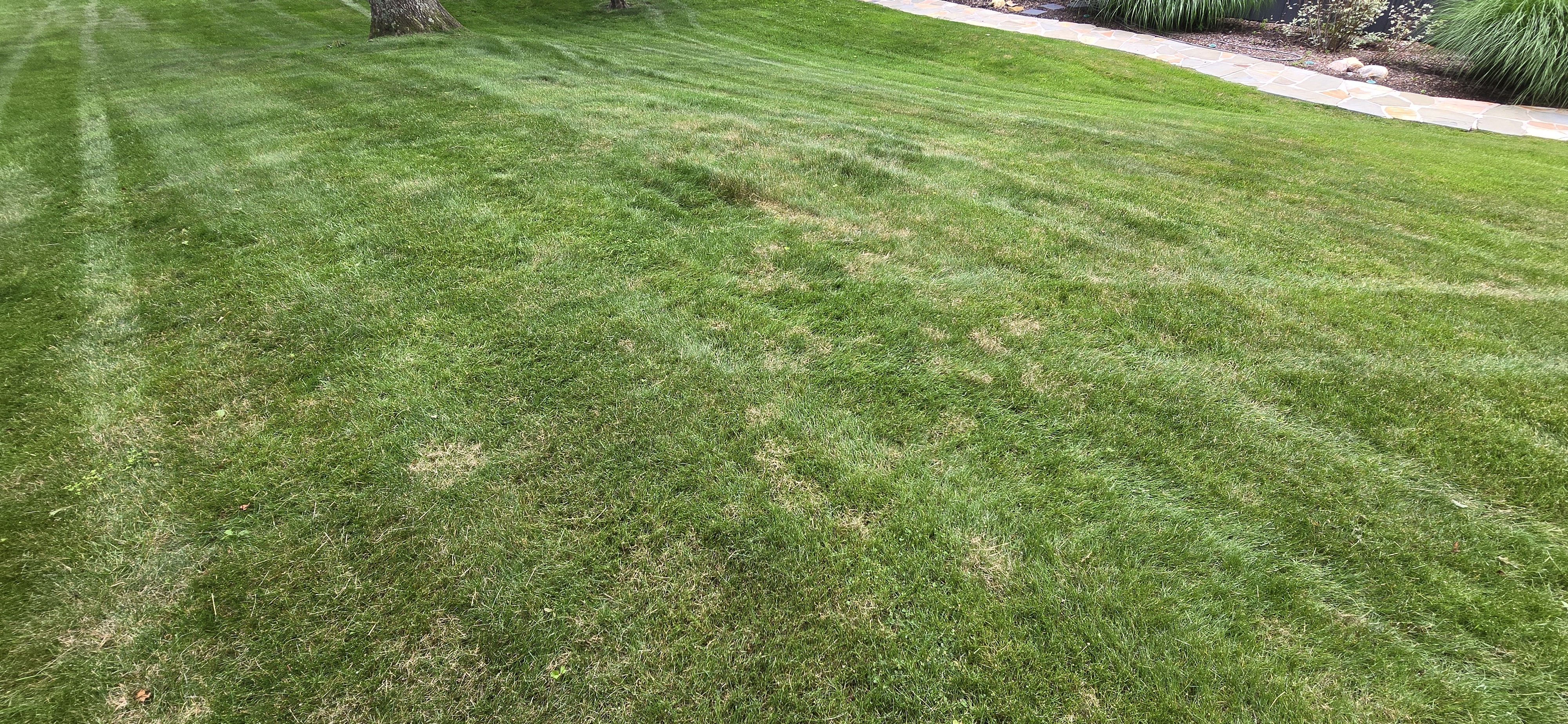 Making Solid Ground Lawn Care Inc