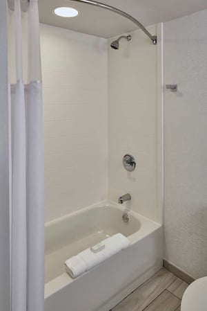 Images Hilton Garden Inn Detroit Downtown