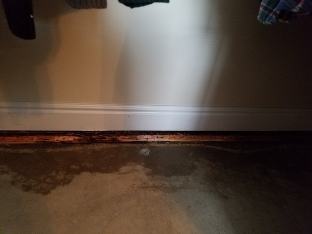 Images Five Point Restoration