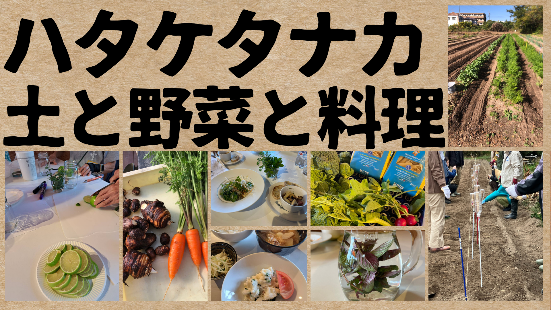 Images ハタケタナカ 土と野菜と料理