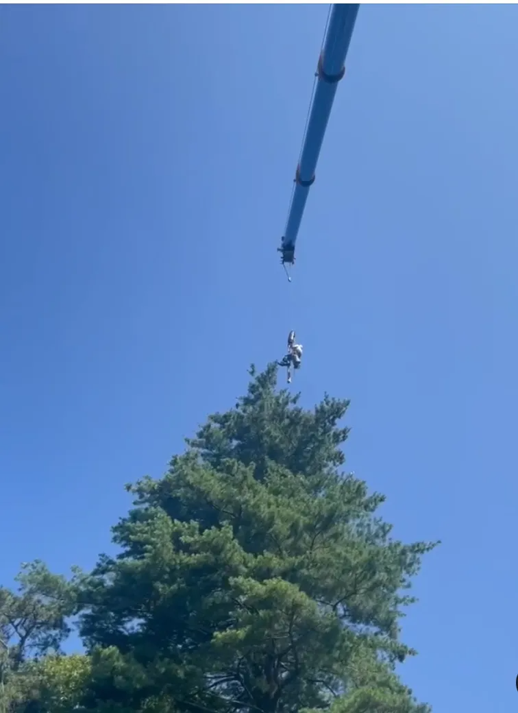 JT's Tree & Landscape, Inc