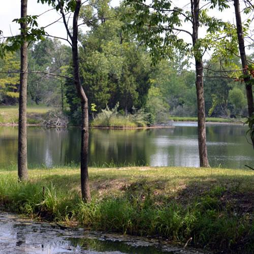 Images Thousand Trails Horseshoe Lakes