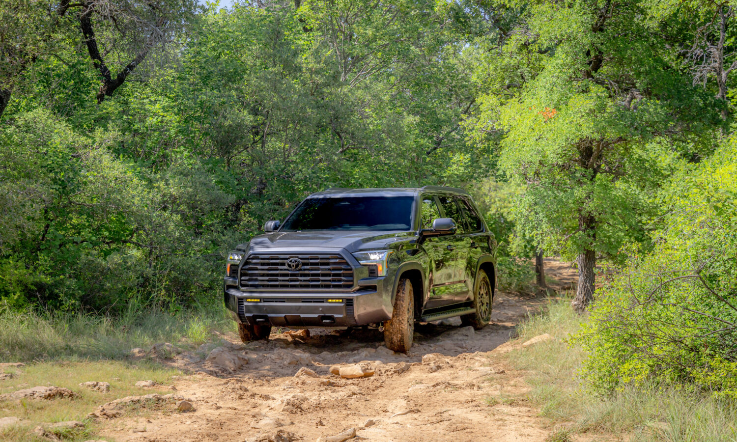 Toyota Sequoia for sale in Tifton, GA