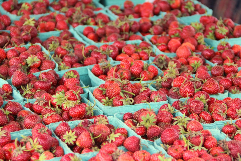 A vibrant spread of multiple green cardboard pint containers packed with freshly harvested, bright red strawberries on display at an outdoor market table.