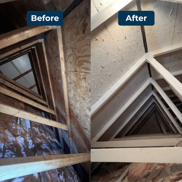 Images Quality Mold Remediation LLC