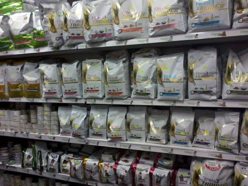 Images Vanity Dog Napoli