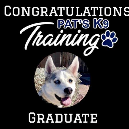 Image 8 | Pat's K9 Training, LLC